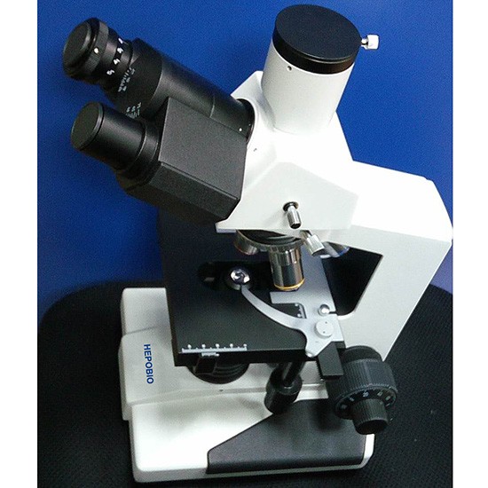HP-BM800 Laboratory Popular Biological Microscope