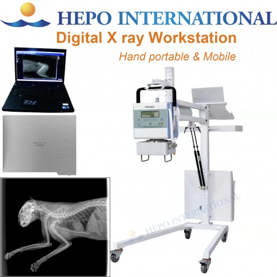 Veterinary Mobile Digital High Frequency X Radiography Imagine Working Station