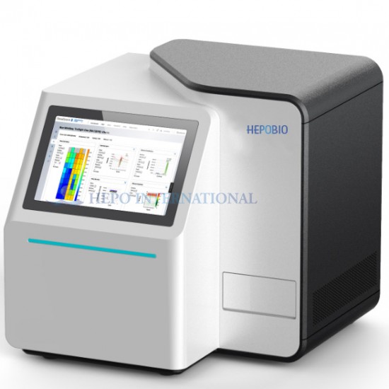 Full Automatically Hb Isoelectric Focusing Electrophoresis Analyzer System