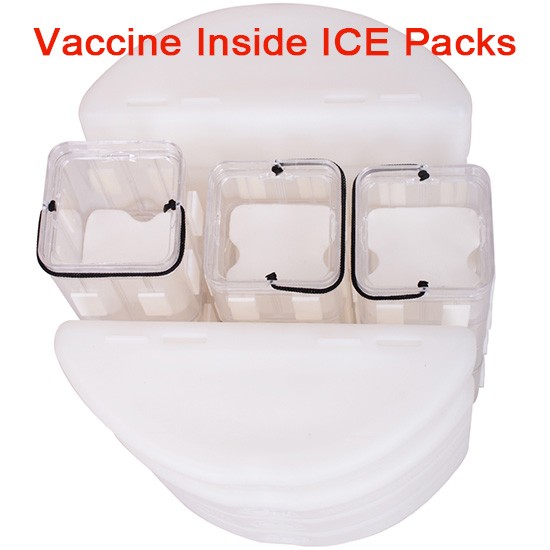 35Days Cooling Time Passive Portable Vaccine Cooler Box