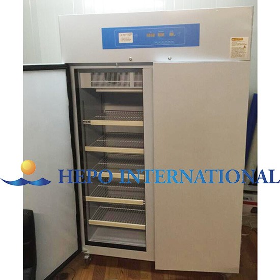 Updated Pharmaceutical Constant Temperature And Humidity Testing Incubator