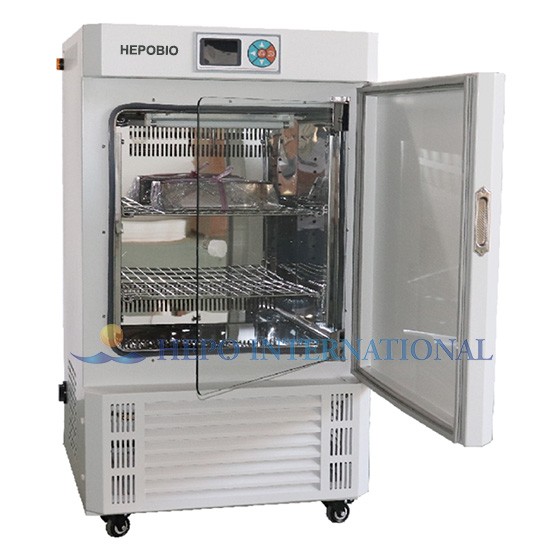 Laboratory Mould Cultivation Seeds Germination Incubator